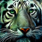 Diamond Painting - Full Round - Tiger A