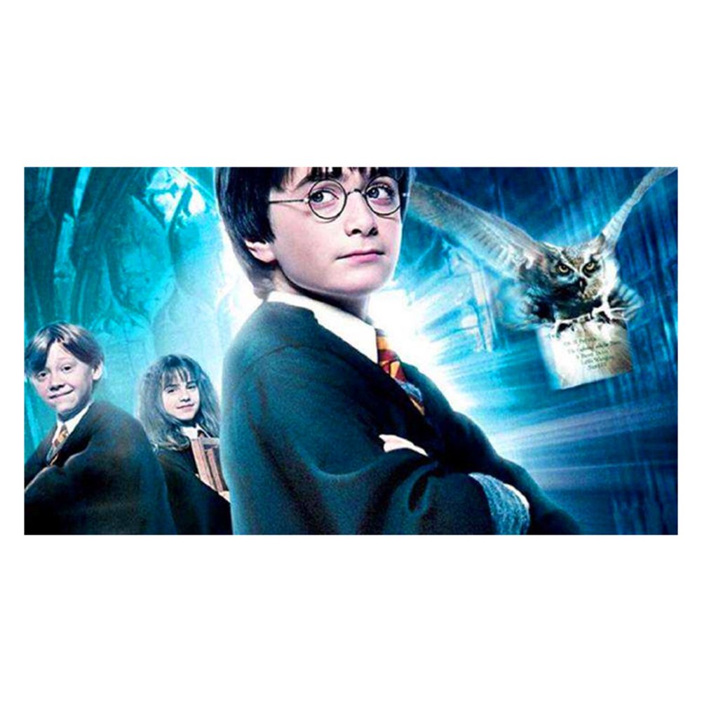 11ct Stamped Cross Stitch Kit Harry Potter and the Philosopher's Stone