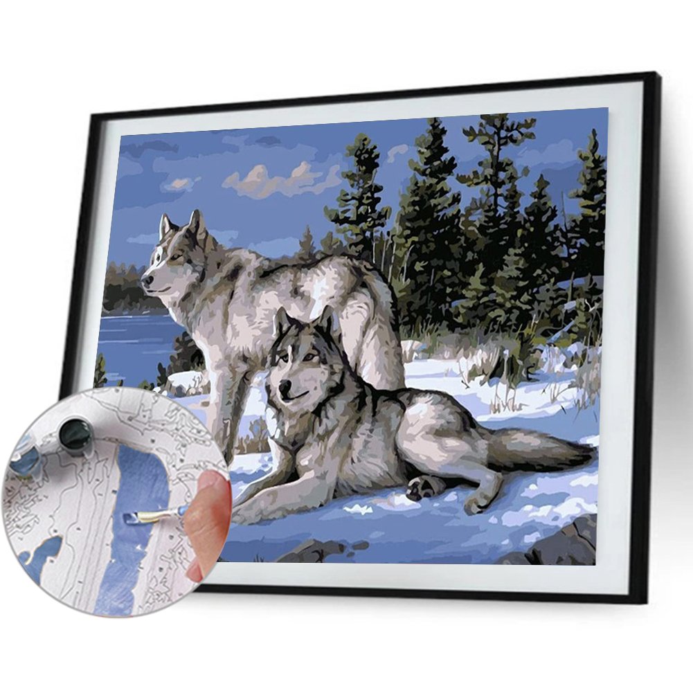 Paint By Number - Oil Painting - Snow Wolves (40*30cm)