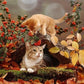 5D DIY Diamond Painting Kit - Full Round - Cute Cat