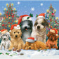 Christmas dog | Full Round/Square Diamond Painting Kits 50x70cm 60x80cm