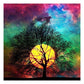 5D Diamond Painting Kit Full Round Beads Art Tree Moon