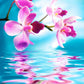 Diamond Painting - Full Round - Flower 5
