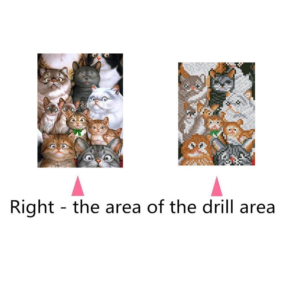 Diamond Painting - Full Round - Cats Family