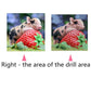 Diamond Painting - Full Square - Cute Pig
