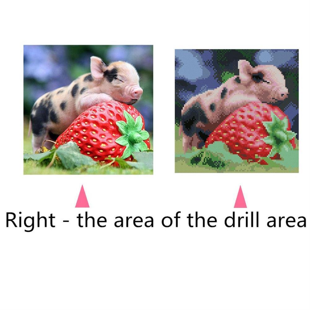 Diamond Painting - Full Square - Cute Pig