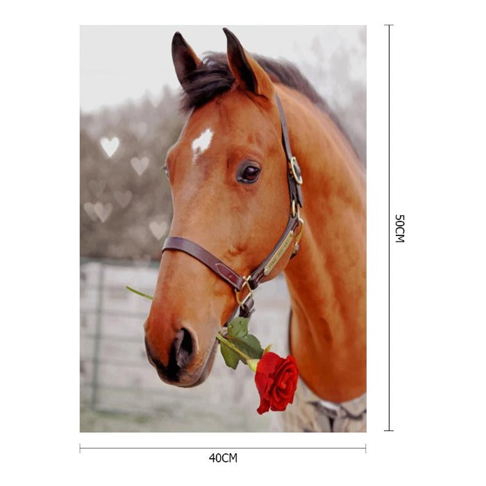 Rose Horse Coded Abstract Acrylic Oil Paint by Numbers Adults Children Gifts