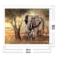 11ct Stamped Cross Stitch - Elephant (50*40cm)