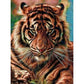 5D Diy Diamond Painting Kit Full Round Beads Cool Tiger