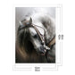 11CT Stamped Cross Stitch - Horse(36*46CM) D