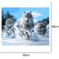 Paint By Number - Oil Painting - Wolf (40*50cm) D