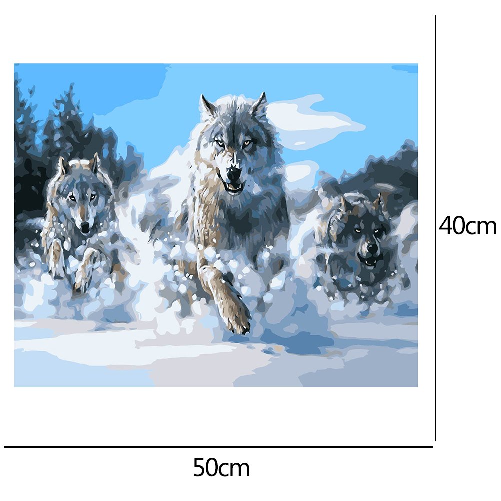 Paint By Number - Oil Painting - Wolf (40*50cm) D
