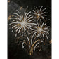 DIY Pearl Painting With Frame - Handmade Self-Adhesive Pearls - Fireworks (30*40cm)