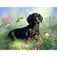 Diamond Painting - Partial Round - Black Dog