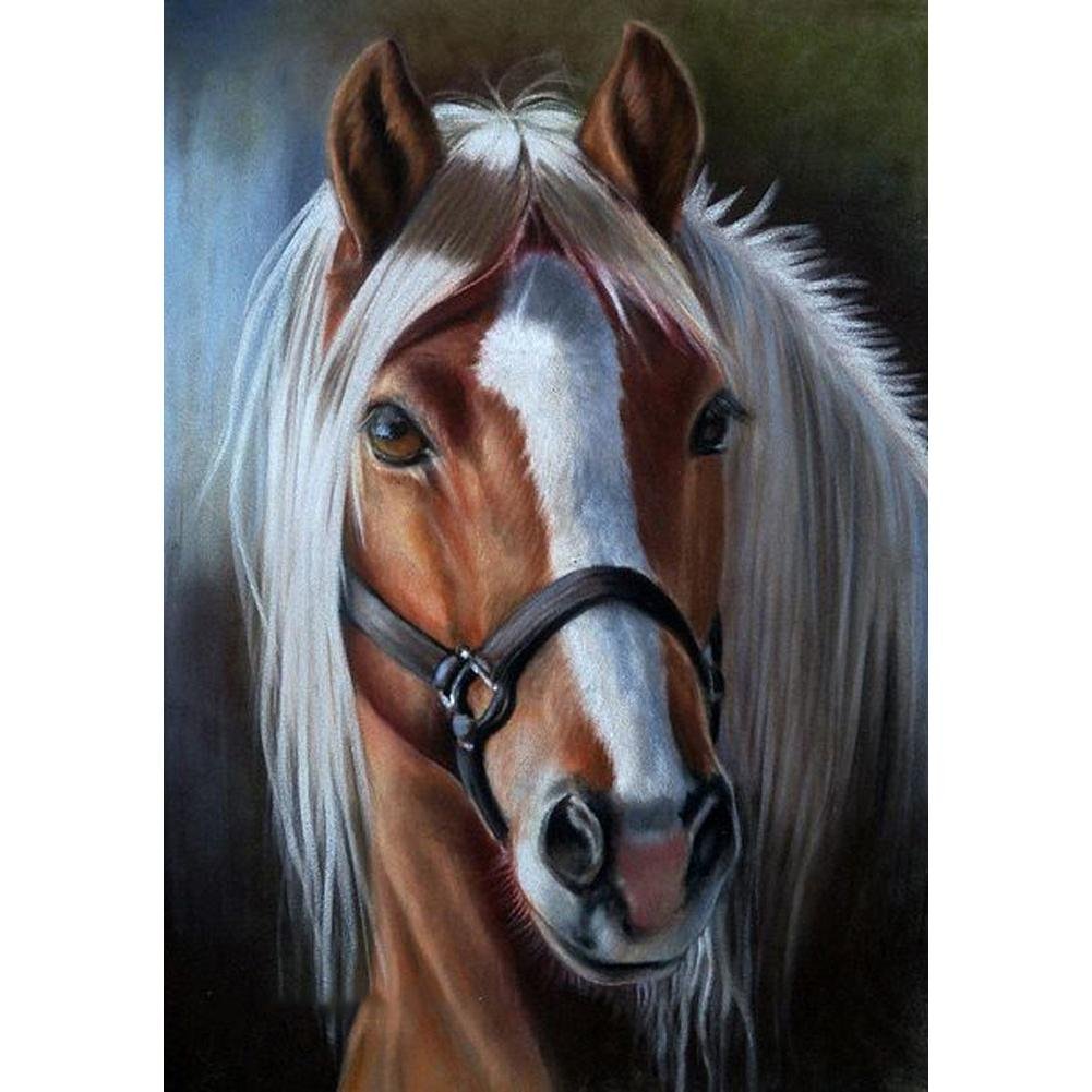 5D Diy Diamond Painting Kit Full Round Beads Horse