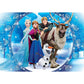 DIY 5D Frozen Diamond Painting Kit Full Round / Square Drills