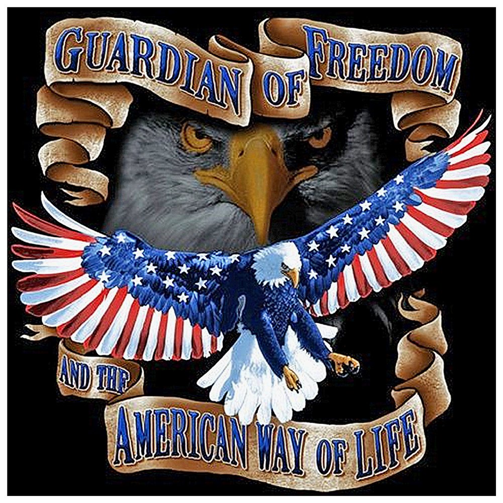 5D Diy Diamond Painting Kit Full Round Beads Flying Eagle (40*40cm)