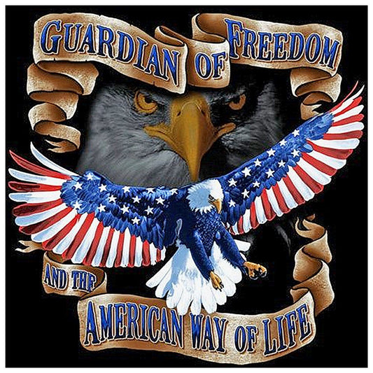 5D Diy Diamond Painting Kit Full Round Beads Flying Eagle (40*40cm)