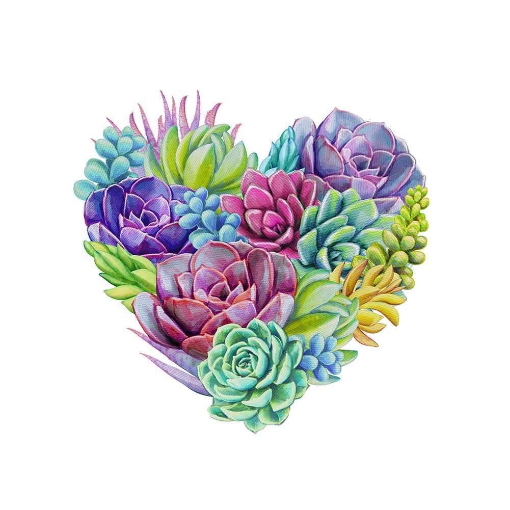 11ct Stamped Cross Stitch Succulent(40*40cm)