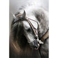 Horse 11CT Stamped Cross Stitch Home Diy Decoration (36*46CM)