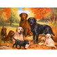 5D Diy Diamond Painting Kit Full Round Beads Dogs