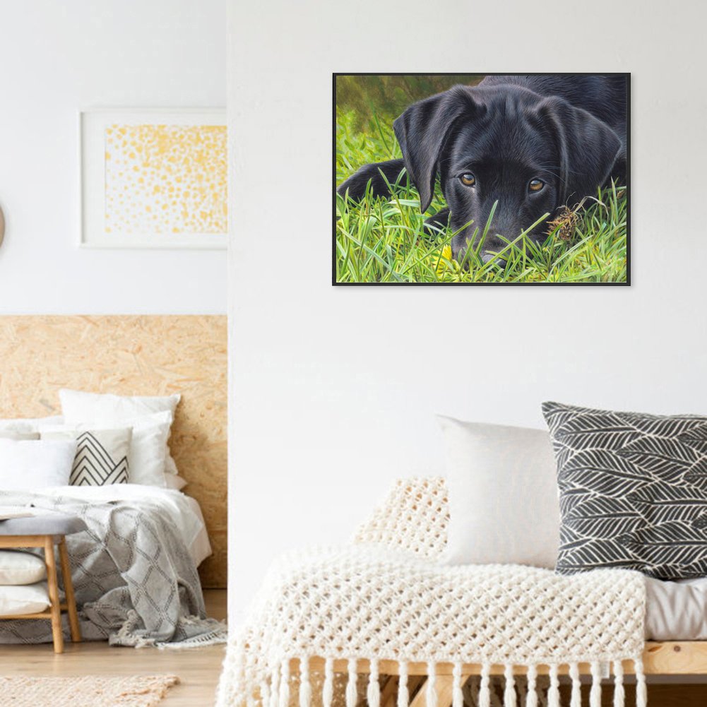Diamond Painting - Full Round - Dog 21