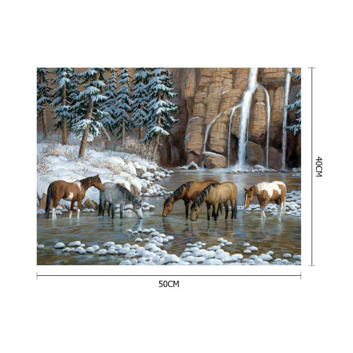 Horse Animal Oil Painting By Numbers Canvas Hand Painted Art Picture