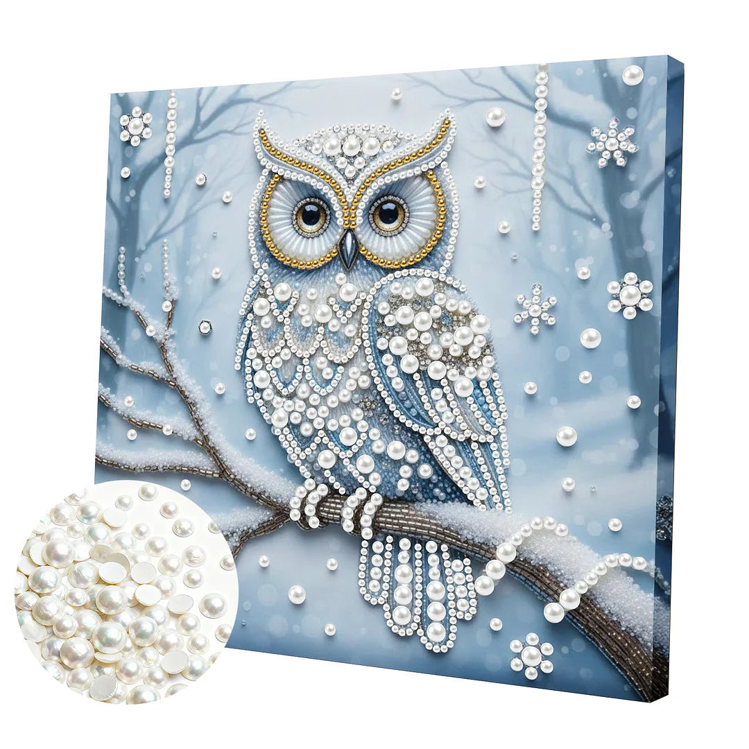 DIY Pearl Painting With Frame - Handmade Self-Adhesive Pearls - Owl (25*25cm) B