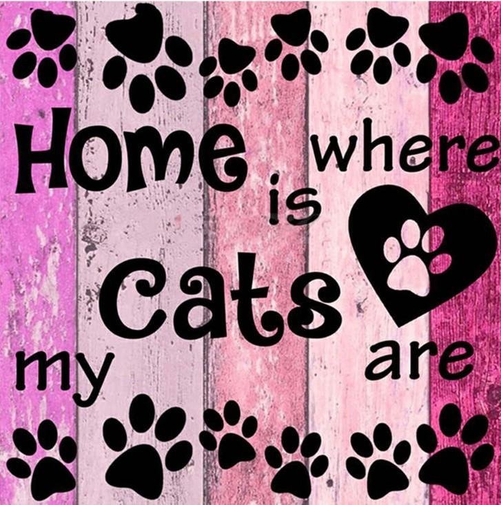 Diamond Painting - Full Round - Home is Where the Cats Are