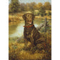 5D Diy Diamond Painting Kit Full Round Beads Dog
