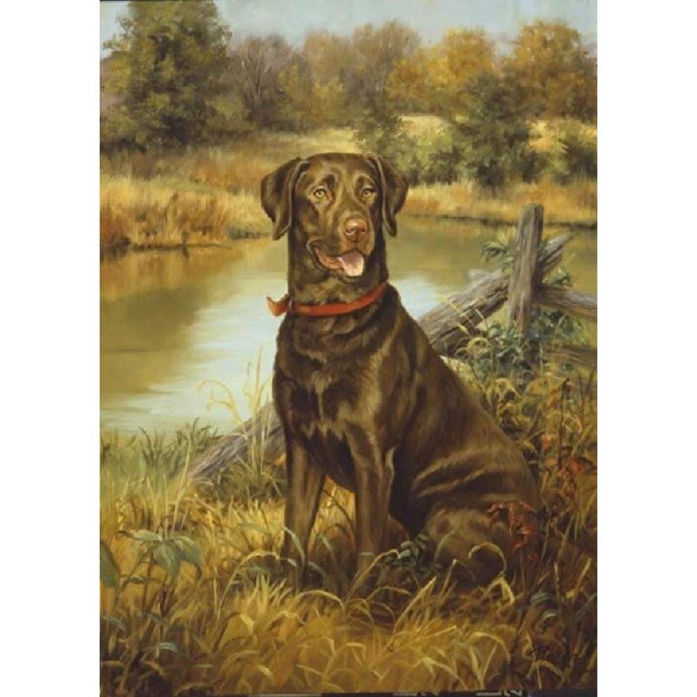5D Diy Diamond Painting Kit Full Round Beads Dog