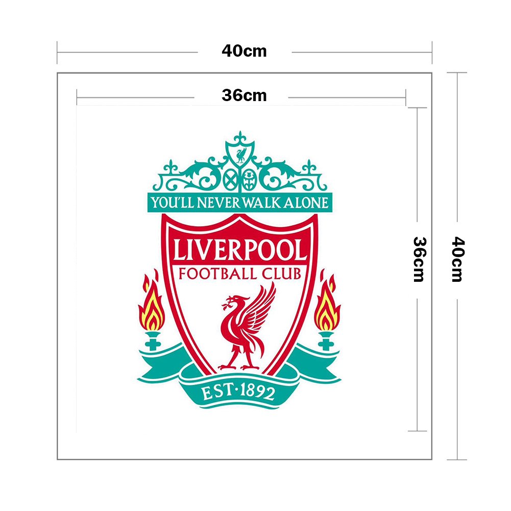 11ct Stamped Cross Stitch - Football Club (40*40cm)