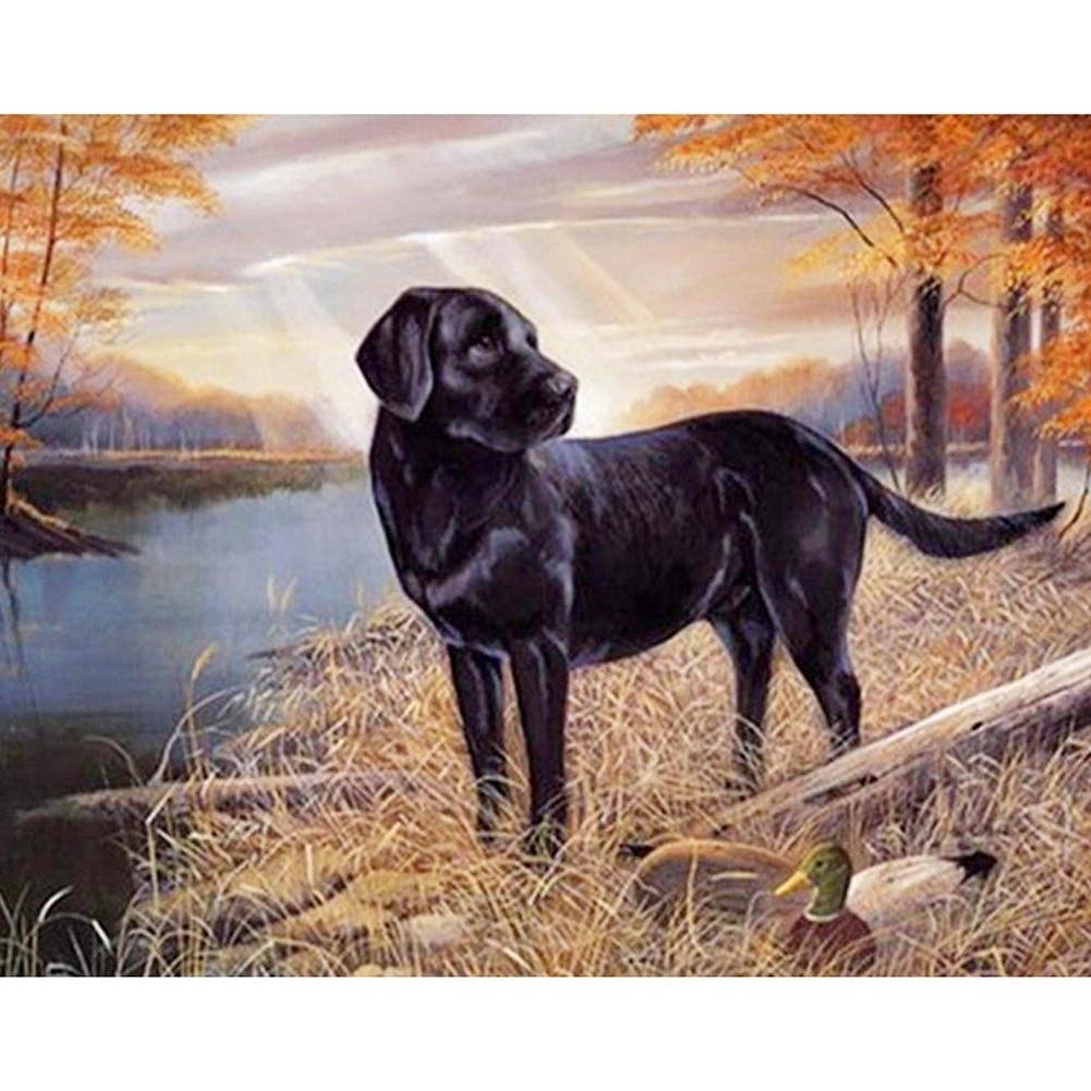 5D Diy Diamond Painting Kit Full Round Beads Black Dog