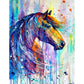 5D Diy Diamond Painting Kit Full Round Beads Colorful Horse