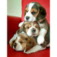 11ct Stamped Cross Stitch Dog(36*46cm)