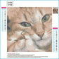 5D DIY Diamond Painting Kit - Full Round - Cute Cat B