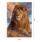 Oil Painting By Numbers Grassland Lion Hand Painted Canvas Picture
