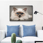 5D DIY Diamond Painting Kit - Full Round - Birman Cat