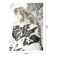 Paint By Number - Oil Painting - Snow Leopard (40*50cm)