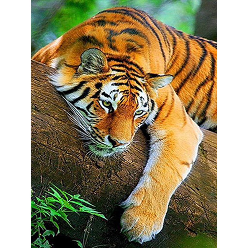 Tiger Diamond Mosaic Embroidery Kit 