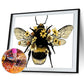 Diamond Painting - Full Round - Bee