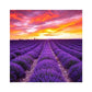 Diamond Painting - Full Round / Square - Lavender Flowers Field
