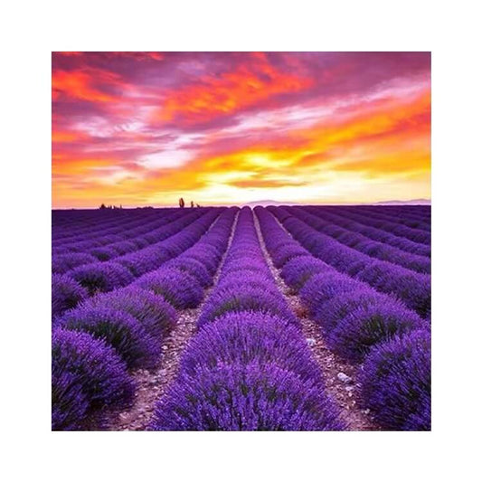 Diamond Painting - Full Round / Square - Lavender Flowers Field
