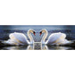 5d part ab drill diamond painting kit swan couple