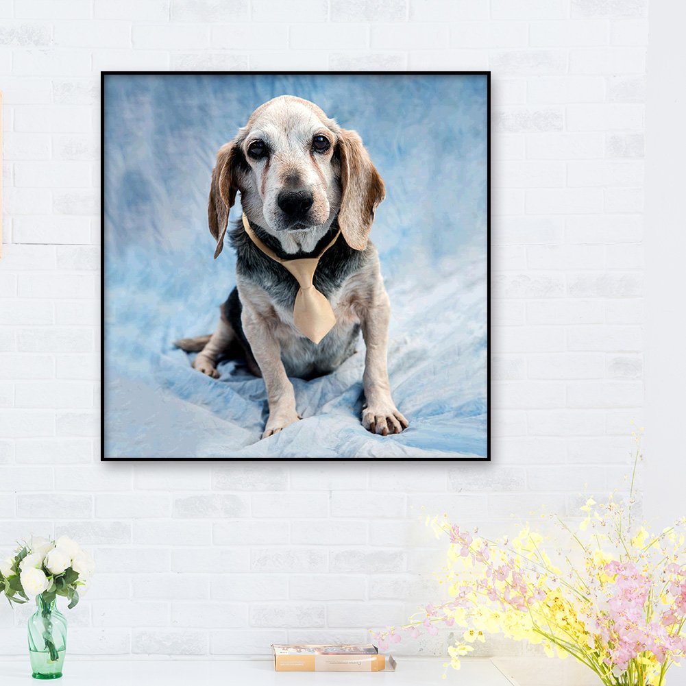 Diamond Painting - Full Round - Dog 10