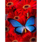 spring diamond painting blue butterfly on red flower 