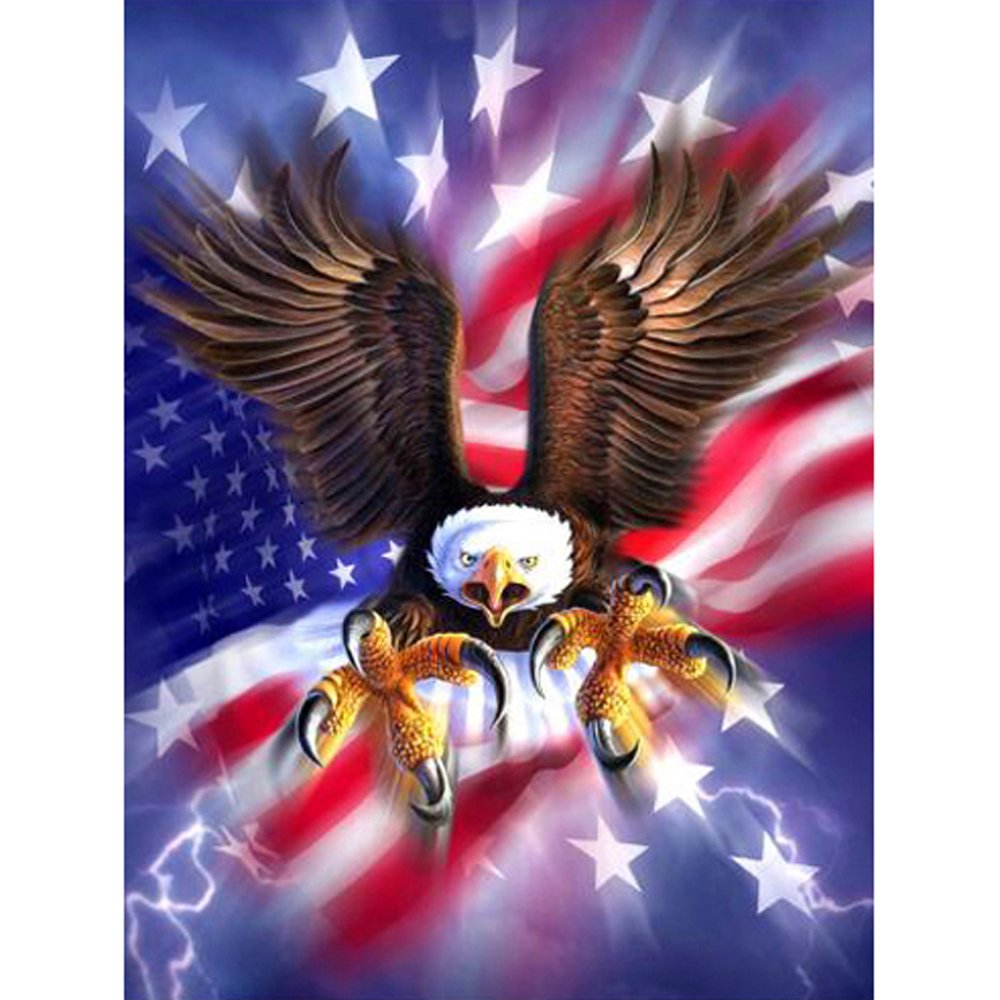 Diamond Paintings Art Full Drill US Flag Eagle