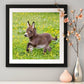 Diamond Painting - Full Round - Grass Donkey