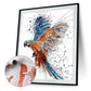 Digital Oil Painting By Numbers Colorful Eagle Canvas Acrylic Picture
