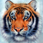 Diamond Painting - Full Round - Tiger B